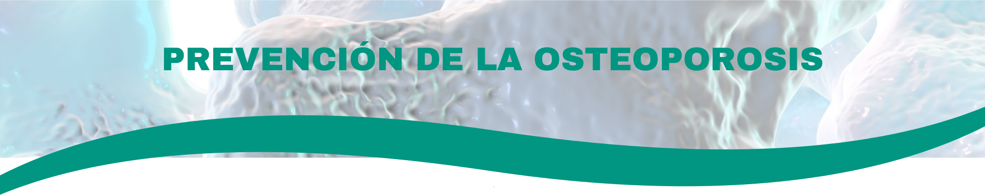 Prevención de la Osteoporosis